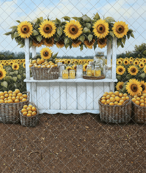 San Antonio Child Photographer first birthday