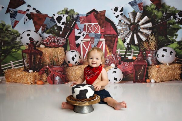 new braunfels tx cake smash session