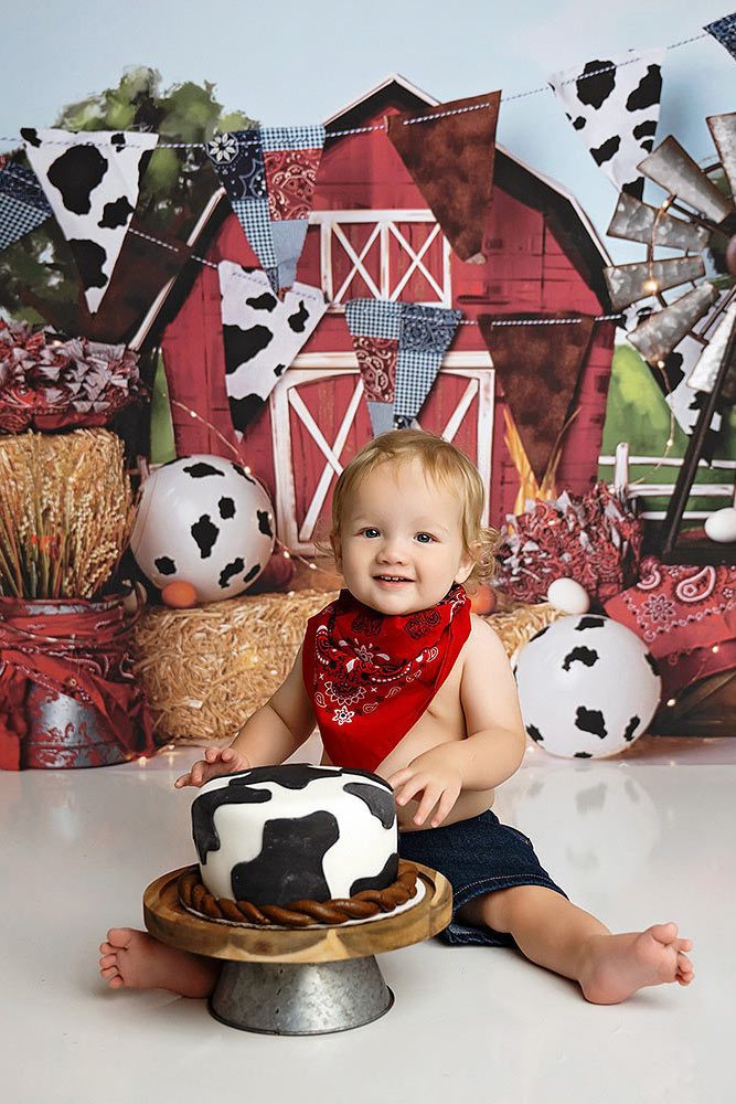 san antonio tx cake smash photographer san antonio tx cake smash photographer