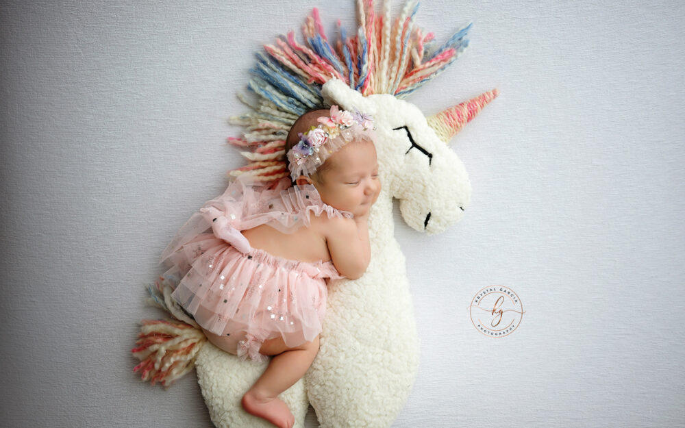 best newborn photographer san antonio