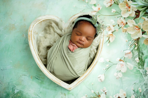 newborn photographer studio san antonio texas newborn photographer studio san antonio texas