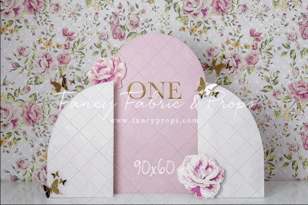 san antonio milestone photographer