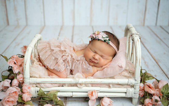 studio san antonio newborn photographer