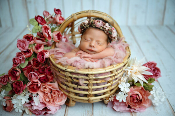 san antonio newborn photographer flower setups