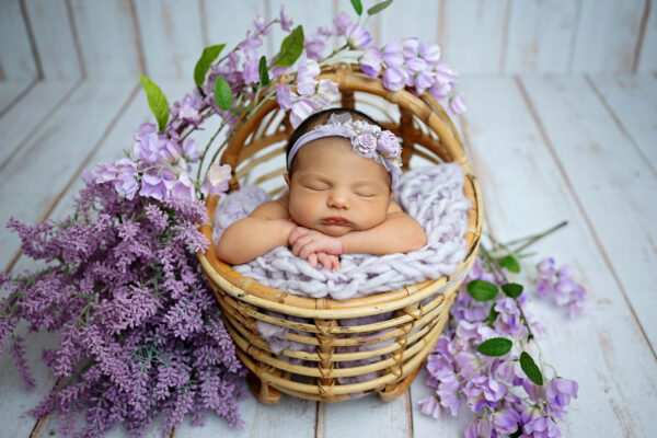 san antonio newborn photographer purple flowers san antonio newborn photographer purple flowers