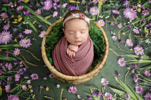 san-antonio-newborn-photographer-purple-setups