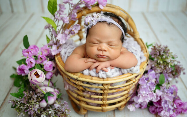 Baby girl posed in wicker basket with lavender flowers by San Antonio newborn photographer